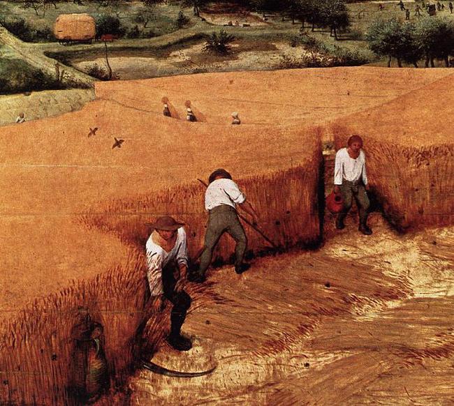 Pieter Bruegel the Elder The Corn Harvest France oil painting art